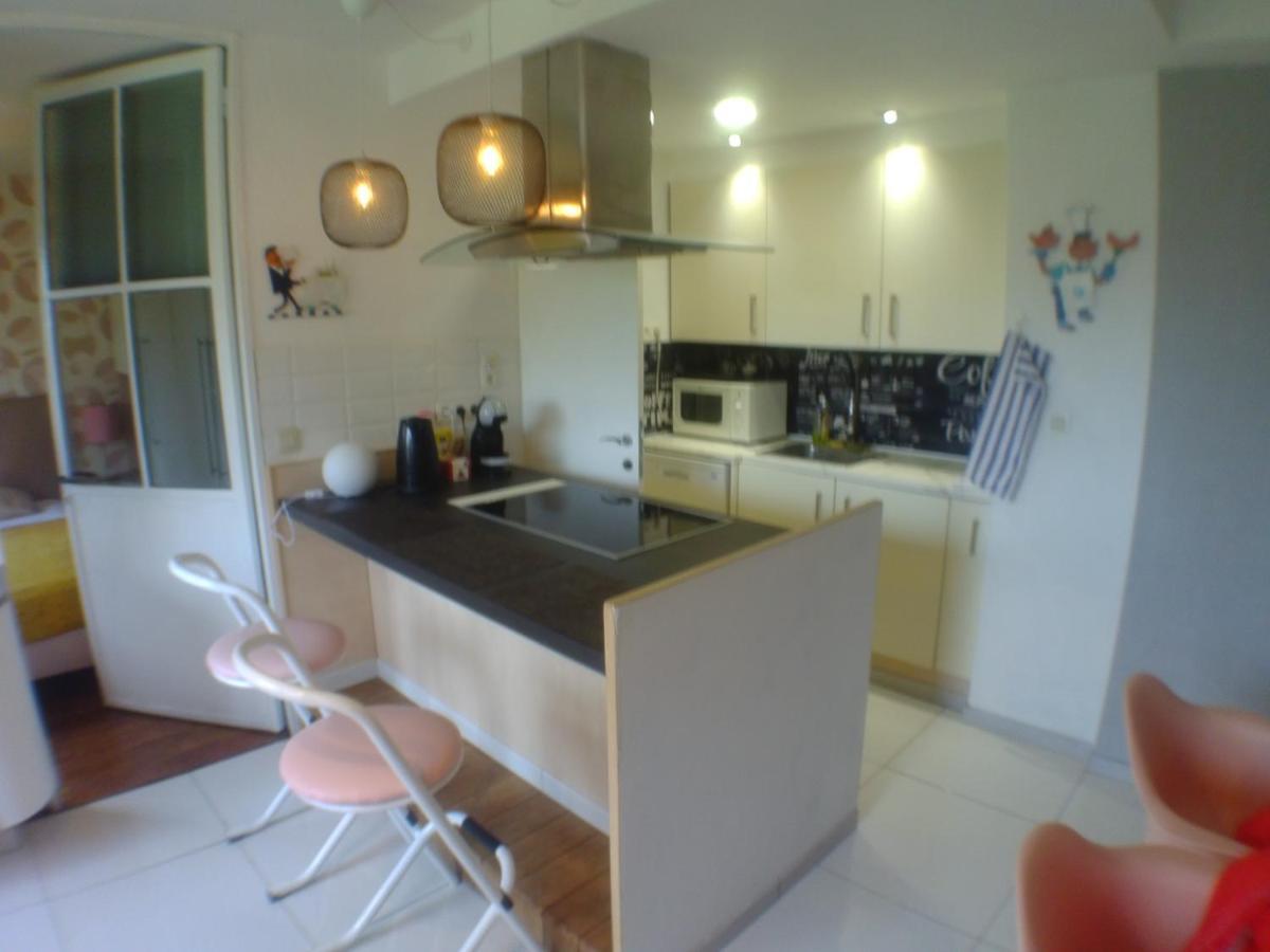 Apartament Liege Centre 6 Rue Montagne Sainte Walburge, 4000 Liege, Pour 2 Pers A 3 Minutes De La Gare St Lambert Zewnętrze zdjęcie